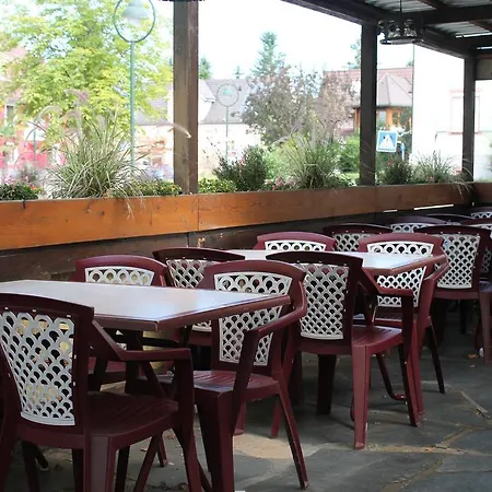 Zur Sonne 2* Freiburg im Breisgau