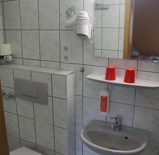 Zur Sonne Freiburg im Breisgau