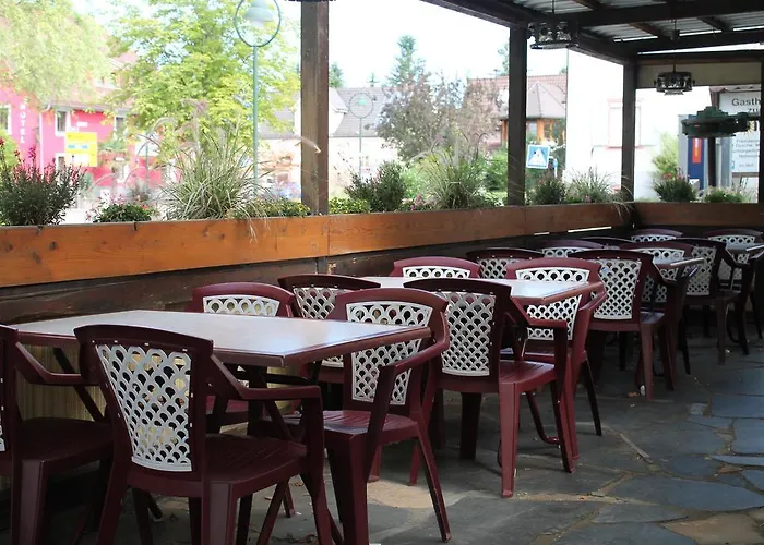 Zur Sonne 2* Freiburg im Breisgau